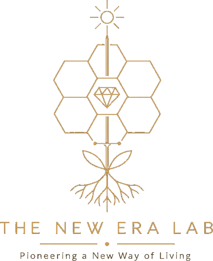 לוגו The New Era Lab של עידן יהלומי
